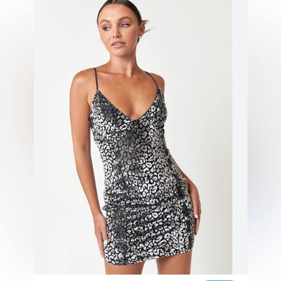 NWT! Blue Blush Velvet / Leopard Print Empire Dress, Silver Mini Dress, Small - Picture 5 of 6